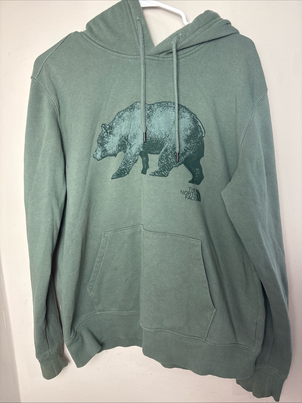 The North Face Men's Sage Green Bear Graphic Crewneck Hoodie